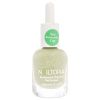 Bio-Sourced Chip Free Nail Lacquer - Ride or Die by Nailtopia for Women - 0.41 oz Nail Polish