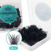 Cluster Lashes Individual Lashes Loose Fan Lash Extensions Lash Clusters C/D Curl 10/12/14/16/18mm DIY Eyelash Extensions