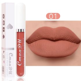 Sexy Long Lasting Velvet Matte Lip Gloss Rose Liquid Lipstick Makeup Women Beauty Red Nonstick Cup Waterproof Lip Gloss 18 Color (Color: 01, size: 2.5ml)